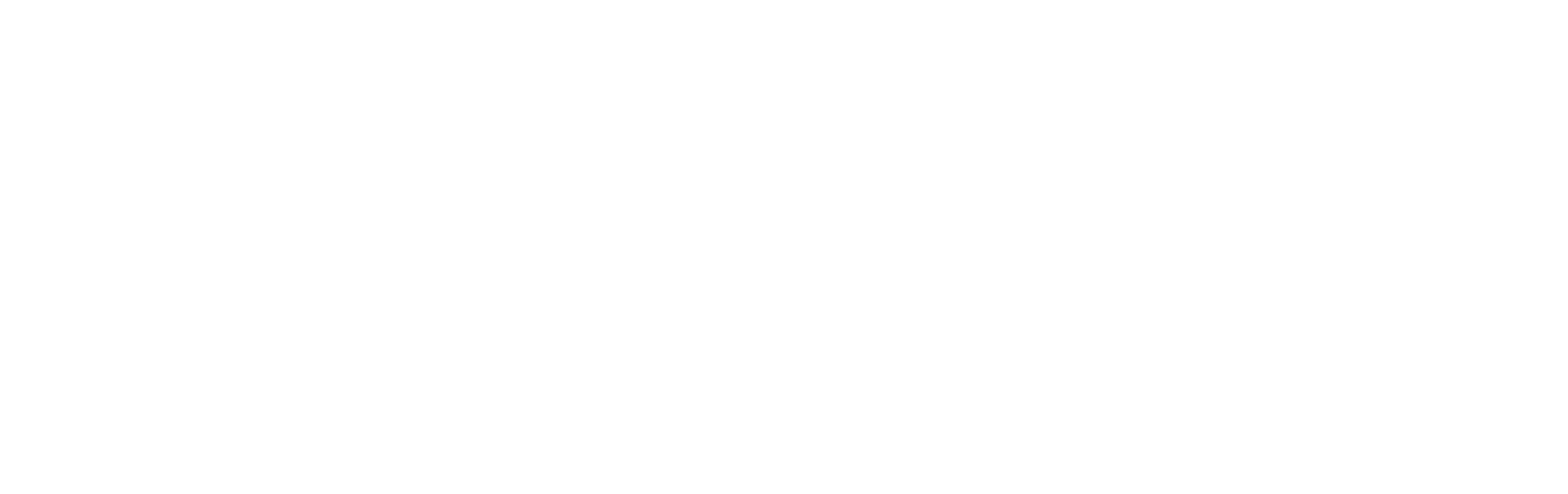 MP&F Logo White