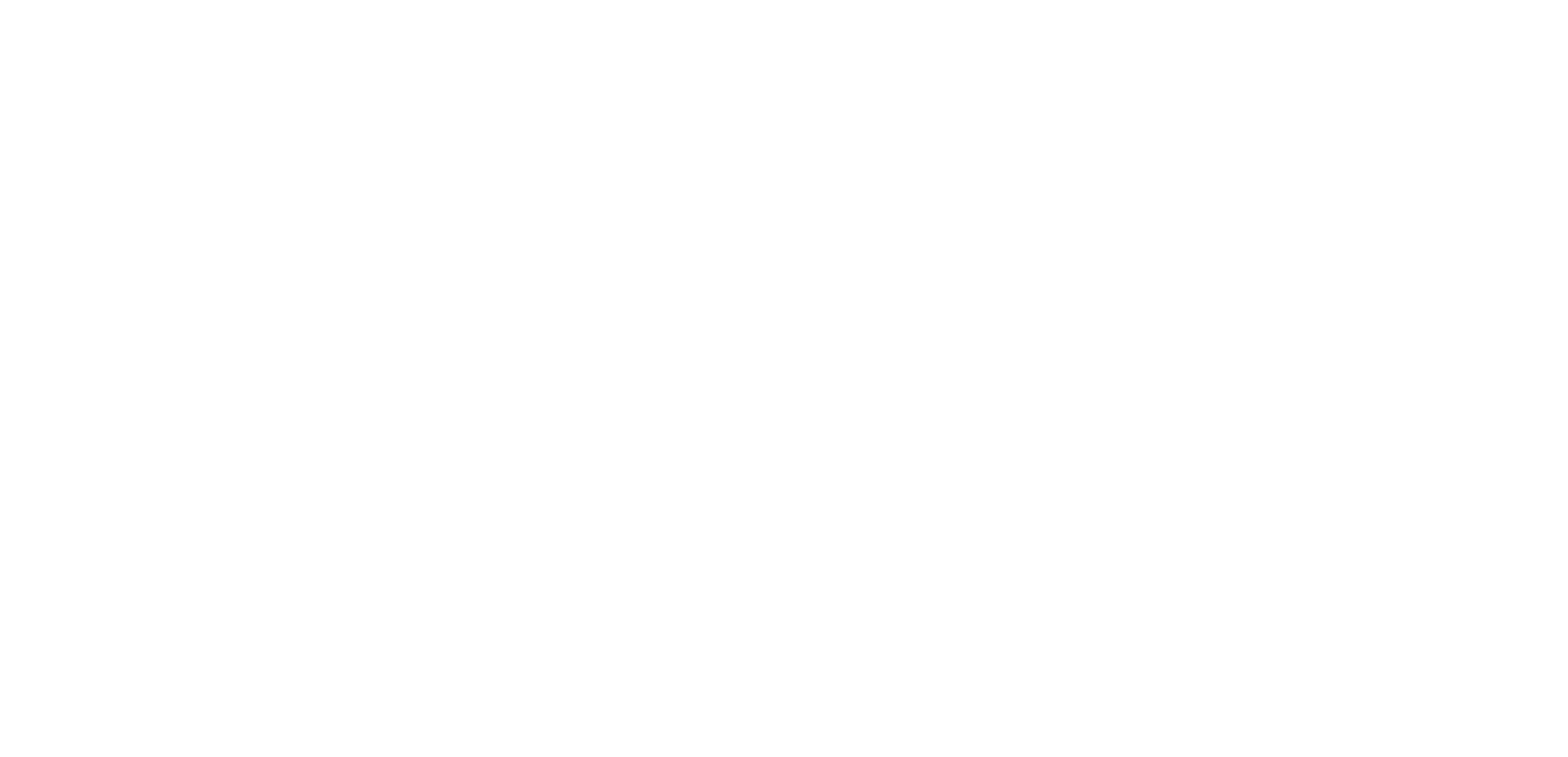 NicksKids Logo Primary White