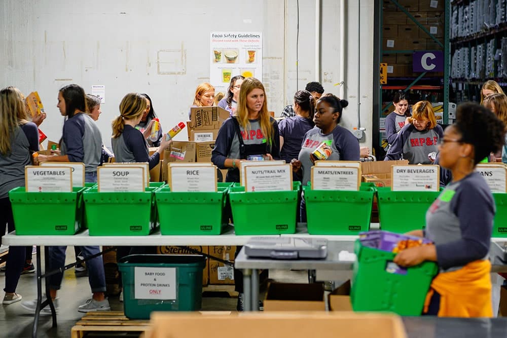 mpf staff volunteering 1000x667