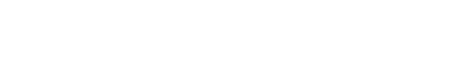 logo noBox white