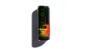 0125 MPF ADDYS Packaging ROAM 01