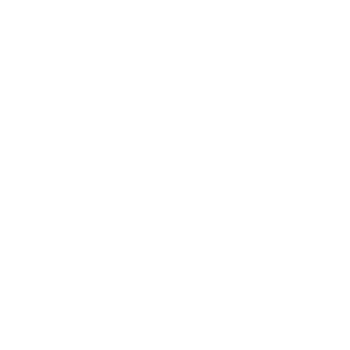 Logo for NDOT